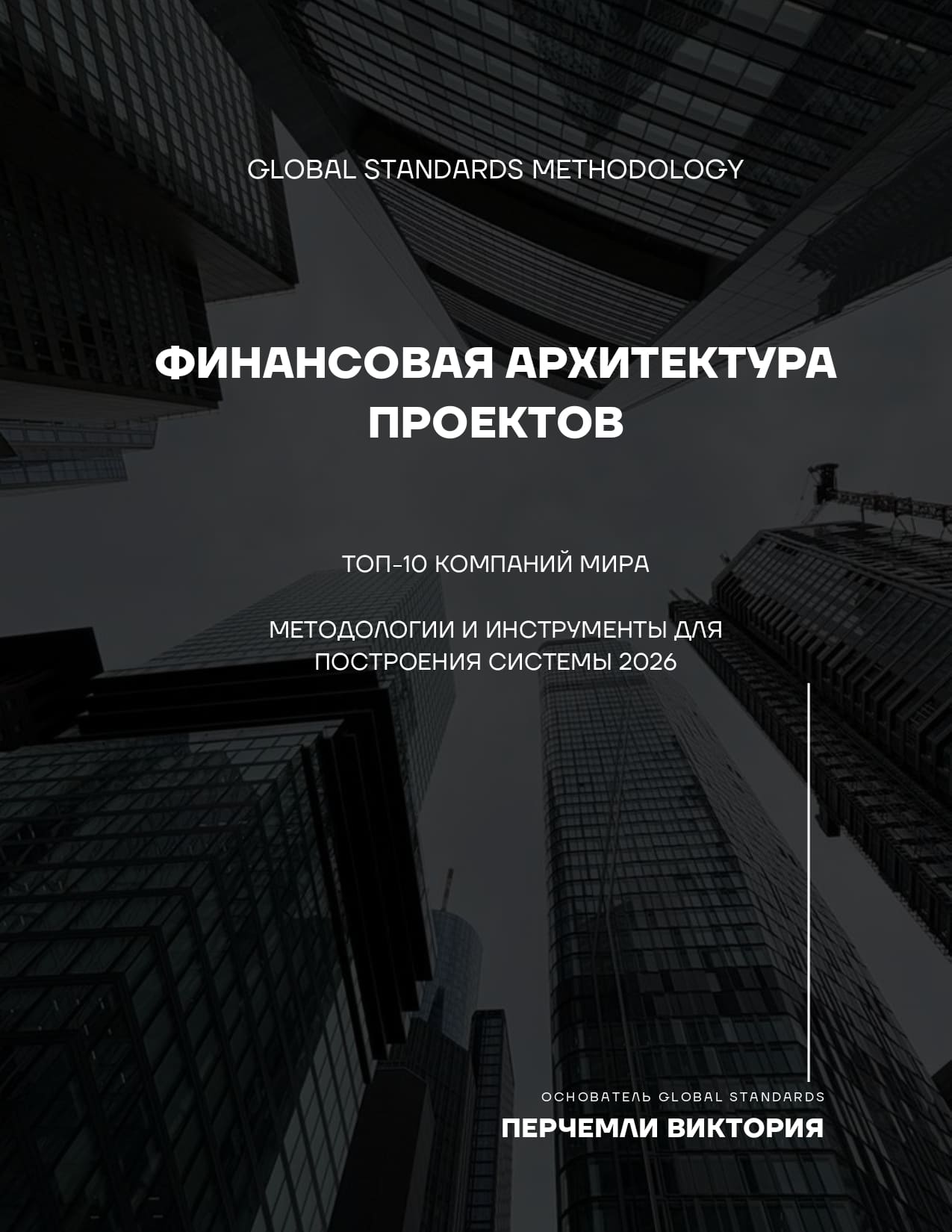 Обзор книги &laquo;Финансовая архитектура проектов&raquo;, автор Виктория Перчемли.